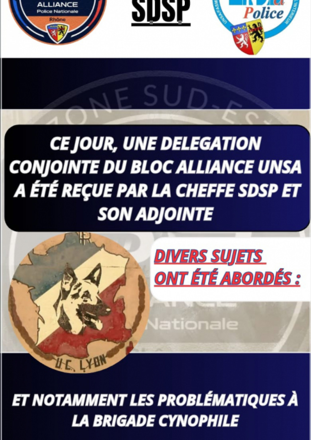 RHÔNE : BLOC ALLIANCE/UNSA  audience SDSP 69